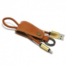 USB data kabal za iPhone Pendant - zlatna